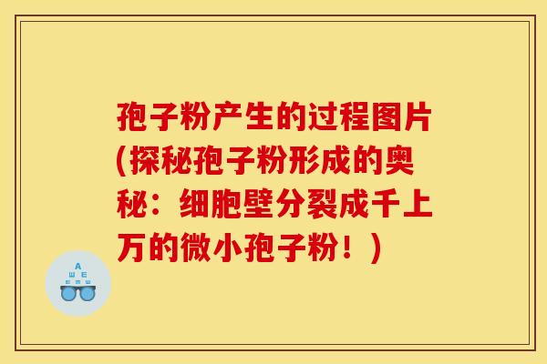 孢子粉产生的过程图片(探秘孢子粉形成的奥秘：细胞壁分裂成千上万的微小孢子粉！)