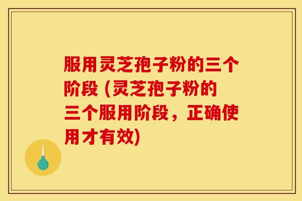 服用灵芝孢子粉的三个阶段 (灵芝孢子粉的三个服用阶段,正确使用才有效) 服用灵芝孢子粉的三个阶段 (灵芝孢子粉的三个服用阶段,正确使用才有效)