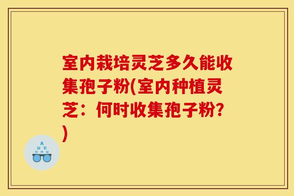室内栽培灵芝多久能收集孢子粉(室内种植灵芝:何时收集孢子粉?) 室内栽培灵芝多久能收集孢子粉(室内种植灵芝:何时收集孢子粉?)