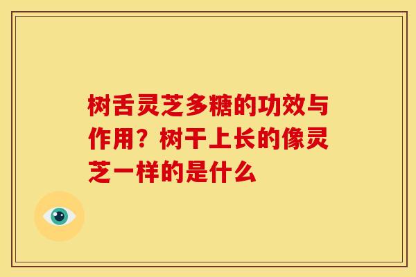 树舌灵芝多糖的功效与作用?树干上长的像灵芝一样的是什么 树舌灵芝多糖的功效与作用?树干上长的像灵芝一样的是什么