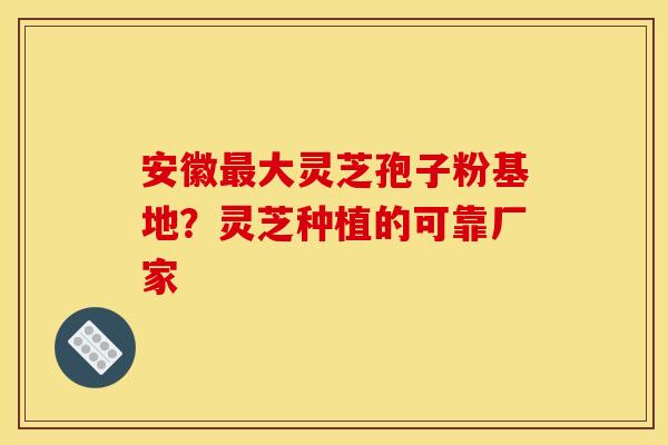 安徽大灵芝孢子粉基地?灵芝种植的可靠厂家 安徽大灵芝孢子粉基地?灵芝种植的可靠厂家