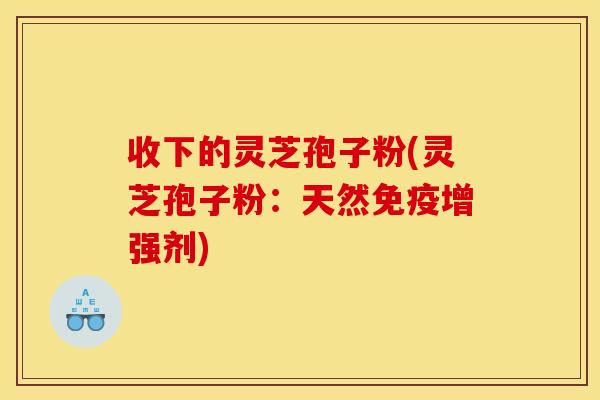 收下的灵芝孢子粉(灵芝孢子粉:天然免疫增强剂) 收下的灵芝孢子粉(灵芝孢子粉:天然免疫增强剂)