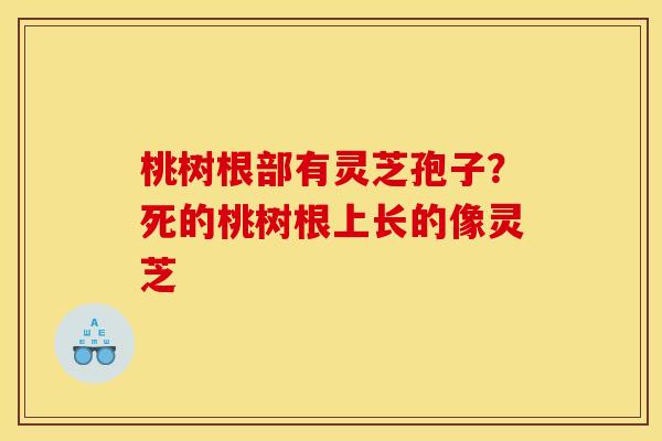 桃树根部有灵芝孢子？死的桃树根上长的像灵芝