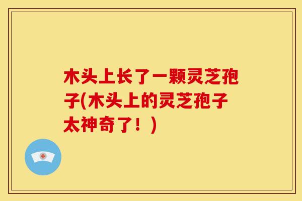 木头上长了一颗灵芝孢子(木头上的灵芝孢子太神奇了!) 木头上长了一颗灵芝孢子(木头上的灵芝孢子太神奇了!)