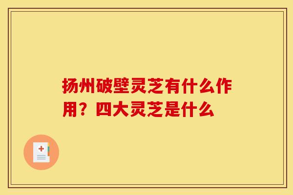 扬州破壁灵芝有什么作用?四大灵芝是什么 扬州破壁灵芝有什么作用?四大灵芝是什么