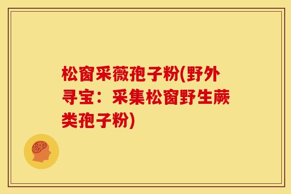 松窗采薇孢子粉(野外寻宝:采集松窗野生蕨类孢子粉) 松窗采薇孢子粉(野外寻宝:采集松窗野生蕨类孢子粉)