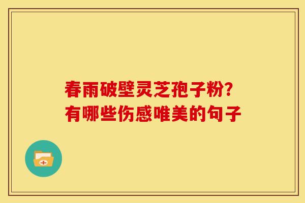 春雨破壁灵芝孢子粉？有哪些伤感唯美的句子