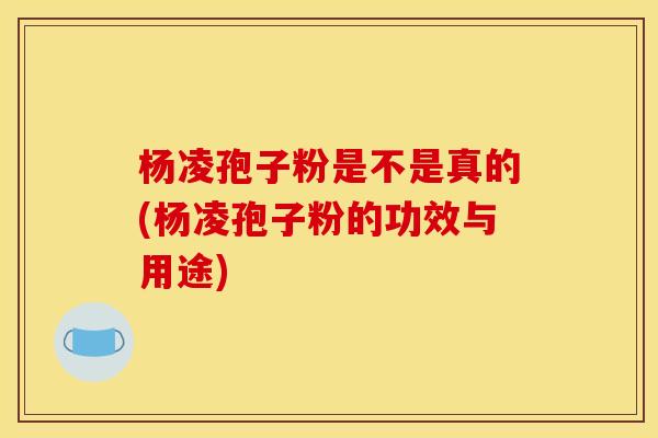 杨凌孢子粉是不是真的(杨凌孢子粉的功效与用途) 杨凌孢子粉是不是真的(杨凌孢子粉的功效与用途)