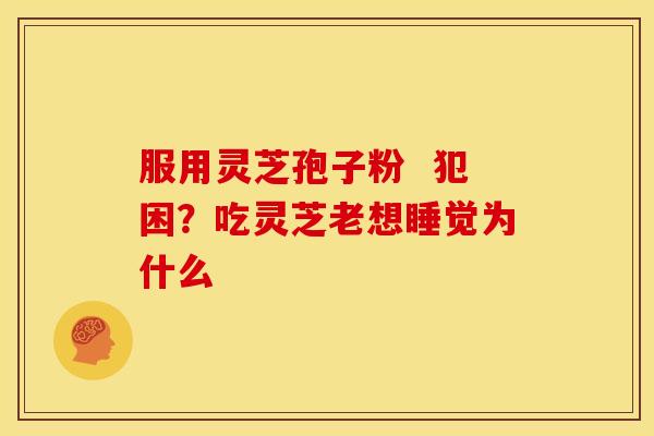 服用灵芝孢子粉 犯困?吃灵芝老想睡觉为什么 服用灵芝孢子粉 犯困?吃灵芝老想睡觉为什么