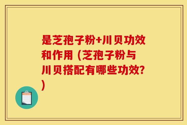 是芝孢子粉+川贝功效和作用 (芝孢子粉与川贝搭配有哪些功效?) 是芝孢子粉+川贝功效和作用 (芝孢子粉与川贝搭配有哪些功效?)