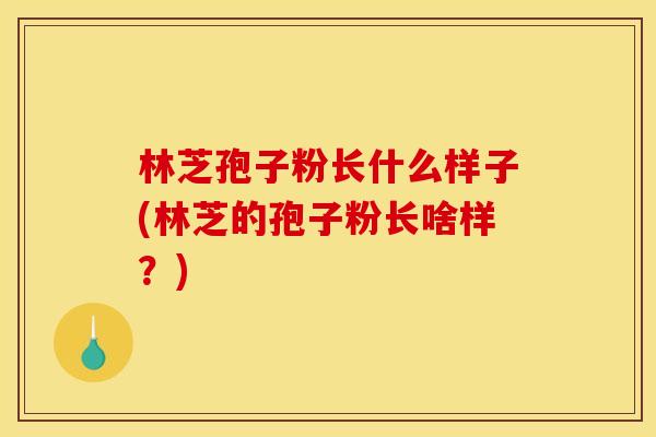 林芝孢子粉长什么样子(林芝的孢子粉长啥样？)