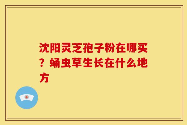 沈阳灵芝孢子粉在哪买？蛹虫草生长在什么地方