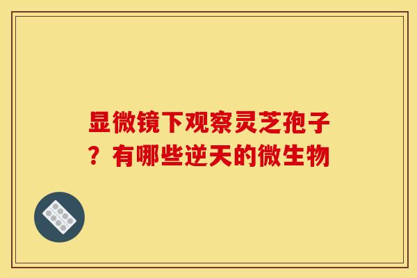 显微镜下观察灵芝孢子？有哪些逆天的微生物