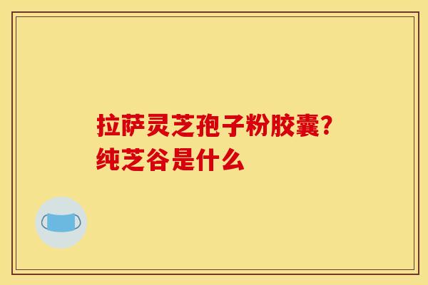 拉萨灵芝孢子粉胶囊？纯芝谷是什么
