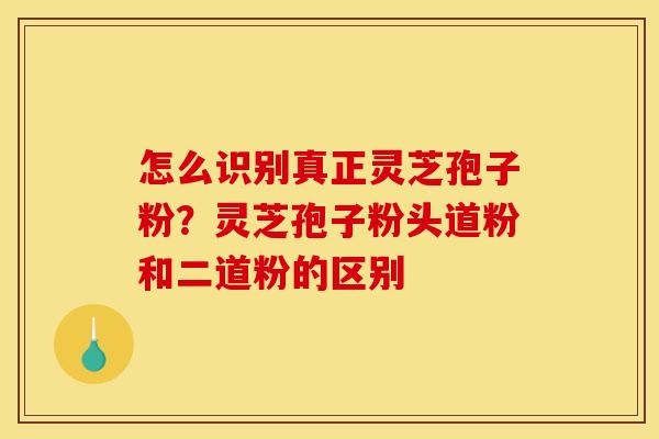 怎么识别真正灵芝孢子粉?灵芝孢子粉头道粉和二道粉的区别 怎么识别真正灵芝孢子粉?灵芝孢子粉头道粉和二道粉的区别