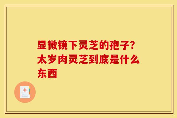 显微镜下灵芝的孢子?太岁肉灵芝到底是什么东西 显微镜下灵芝的孢子?太岁肉灵芝到底是什么东西