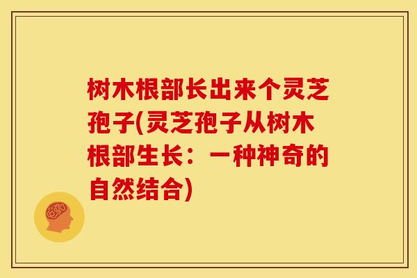 树木根部长出来个灵芝孢子(灵芝孢子从树木根部生长:一种神奇的自然结合) 树木根部长出来个灵芝孢子(灵芝孢子从树木根部生长:一种神奇的自然结合)