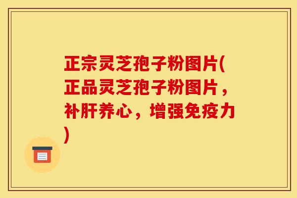 正宗灵芝孢子粉图片(正品灵芝孢子粉图片,补养心,增强免疫力) 正宗灵芝孢子粉图片(正品灵芝孢子粉图片,补养心,增强免疫力)
