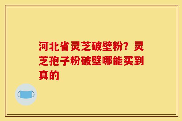 河北省灵芝破壁粉?灵芝孢子粉破壁哪能买到真的 河北省灵芝破壁粉?灵芝孢子粉破壁哪能买到真的