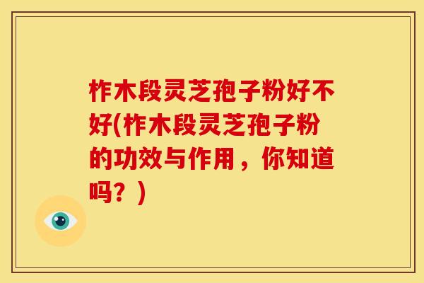柞木段灵芝孢子粉好不好(柞木段灵芝孢子粉的功效与作用,你知道吗?) 柞木段灵芝孢子粉好不好(柞木段灵芝孢子粉的功效与作用,你知道吗?)