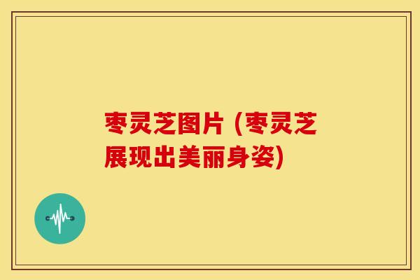 枣灵芝图片 (枣灵芝展现出美丽身姿) 枣灵芝图片 (枣灵芝展现出美丽身姿)