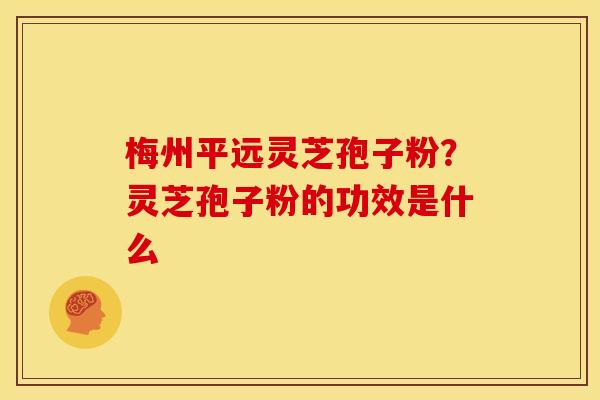 梅州平远灵芝孢子粉?灵芝孢子粉的功效是什么 梅州平远灵芝孢子粉?灵芝孢子粉的功效是什么