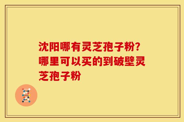 沈阳哪有灵芝孢子粉？哪里可以买的到破壁灵芝孢子粉