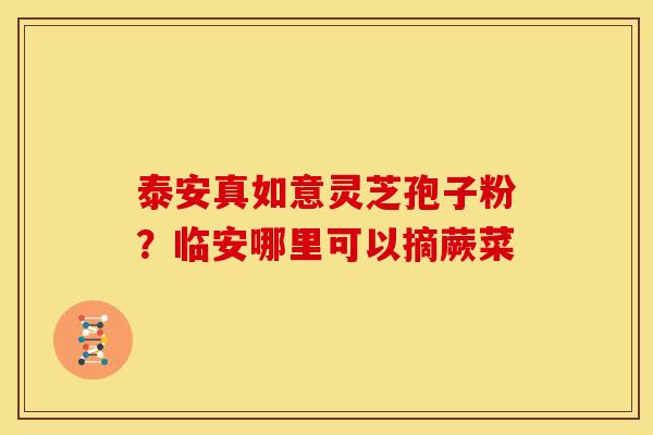 泰安真如意灵芝孢子粉?临安哪里可以摘蕨菜 泰安真如意灵芝孢子粉?临安哪里可以摘蕨菜
