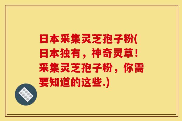 日本采集灵芝孢子粉(日本独有,神奇灵草!采集灵芝孢子粉,你需要知道的这些.) 日本采集灵芝孢子粉(日本独有,神奇灵草!采集灵芝孢子粉,你需要知道的这些.)