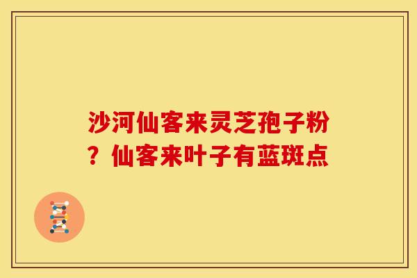 沙河仙客来灵芝孢子粉?仙客来叶子有蓝斑点 沙河仙客来灵芝孢子粉?仙客来叶子有蓝斑点