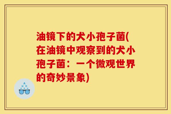 油镜下的犬小孢子菌(在油镜中观察到的犬小孢子菌:一个微观世界的奇妙景象) 油镜下的犬小孢子菌(在油镜中观察到的犬小孢子菌:一个微观世界的奇妙景象)