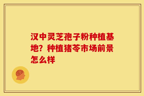 汉中灵芝孢子粉种植基地?种植猪苓市场前景怎么样 汉中灵芝孢子粉种植基地?种植猪苓市场前景怎么样