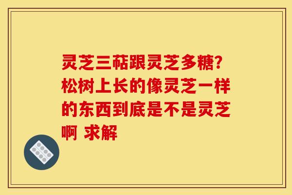 灵芝三萜跟灵芝多糖?松树上长的像灵芝一样的东西到底是不是灵芝啊 求解 灵芝三萜跟灵芝多糖?松树上长的像灵芝一样的东西到底是不是灵芝啊 求解