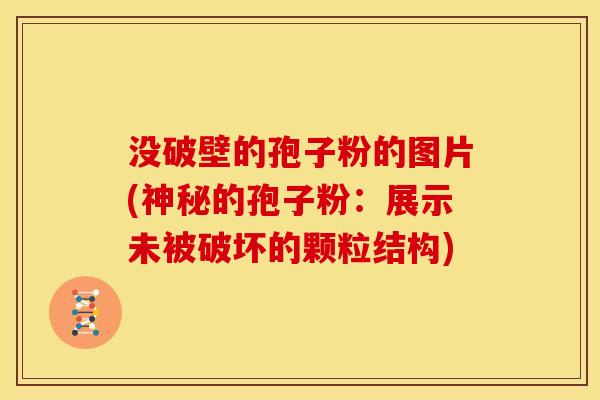没破壁的孢子粉的图片(神秘的孢子粉:展示未被破坏的颗粒结构) 没破壁的孢子粉的图片(神秘的孢子粉:展示未被破坏的颗粒结构)