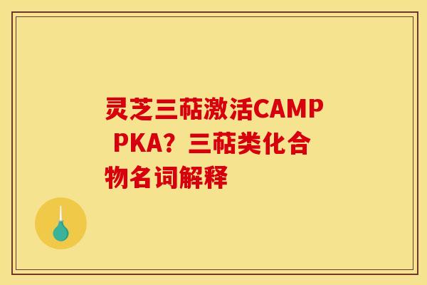 灵芝三萜激活CAMP PKA?三萜类化合物名词解释 灵芝三萜激活CAMP PKA?三萜类化合物名词解释