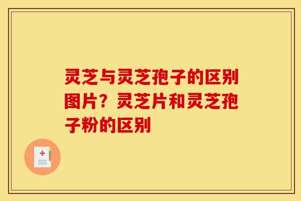 灵芝与灵芝孢子的区别图片?灵芝片和灵芝孢子粉的区别 灵芝与灵芝孢子的区别图片?灵芝片和灵芝孢子粉的区别