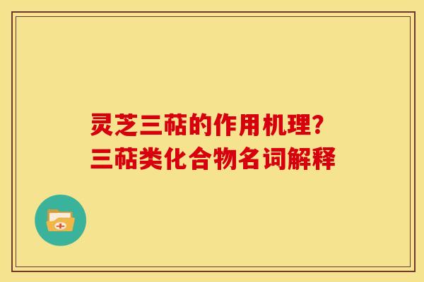 灵芝三萜的作用机理?三萜类化合物名词解释 灵芝三萜的作用机理?三萜类化合物名词解释