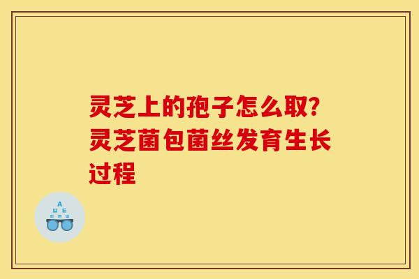 灵芝上的孢子怎么取?灵芝菌包菌丝发育生长过程 灵芝上的孢子怎么取?灵芝菌包菌丝发育生长过程