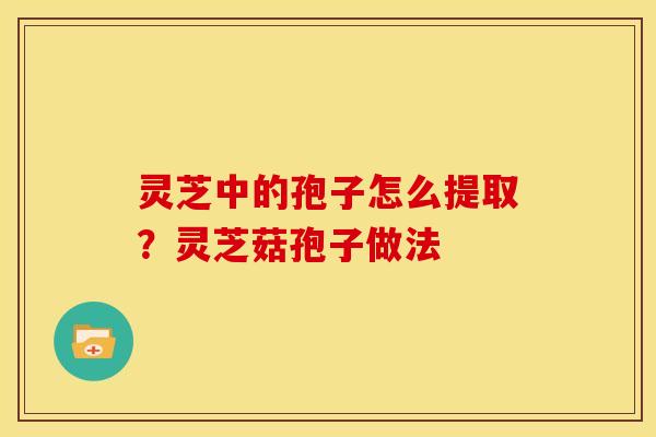灵芝中的孢子怎么提取？灵芝菇孢子做法