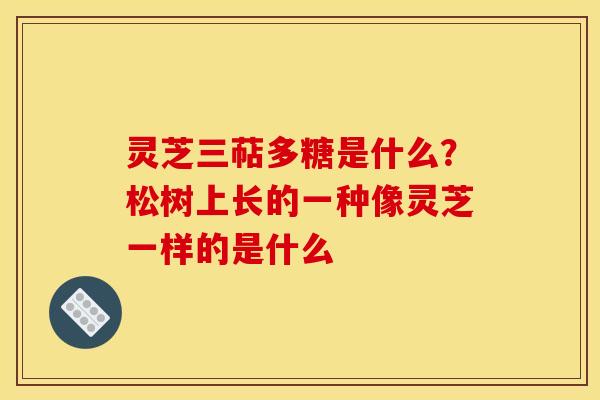 灵芝三萜多糖是什么?松树上长的一种像灵芝一样的是什么 灵芝三萜多糖是什么?松树上长的一种像灵芝一样的是什么