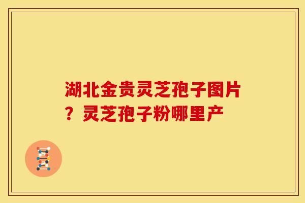 湖北金贵灵芝孢子图片?灵芝孢子粉哪里产 湖北金贵灵芝孢子图片?灵芝孢子粉哪里产