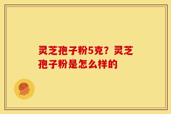 灵芝孢子粉5克?灵芝孢子粉是怎么样的 灵芝孢子粉5克?灵芝孢子粉是怎么样的