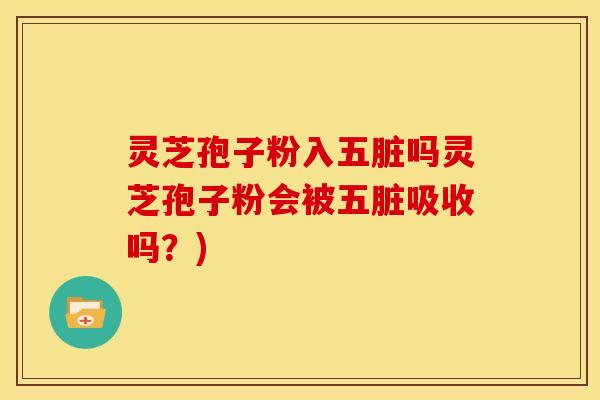 灵芝孢子粉入五脏吗灵芝孢子粉会被五脏吸收吗?) 灵芝孢子粉入五脏吗灵芝孢子粉会被五脏吸收吗?)