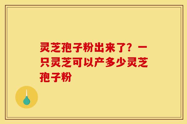 灵芝孢子粉出来了？一只灵芝可以产多少灵芝孢子粉
