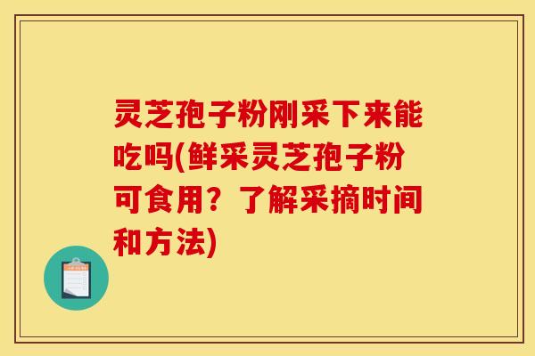 灵芝孢子粉刚采下来能吃吗(鲜采灵芝孢子粉可食用？了解采摘时间和方法)