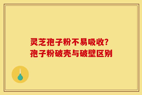 灵芝孢子粉不易吸收?孢子粉破壳与破壁区别 灵芝孢子粉不易吸收?孢子粉破壳与破壁区别