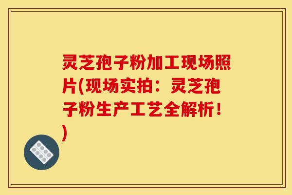 灵芝孢子粉加工现场照片(现场实拍:灵芝孢子粉生产工艺全解析!) 灵芝孢子粉加工现场照片(现场实拍:灵芝孢子粉生产工艺全解析!)