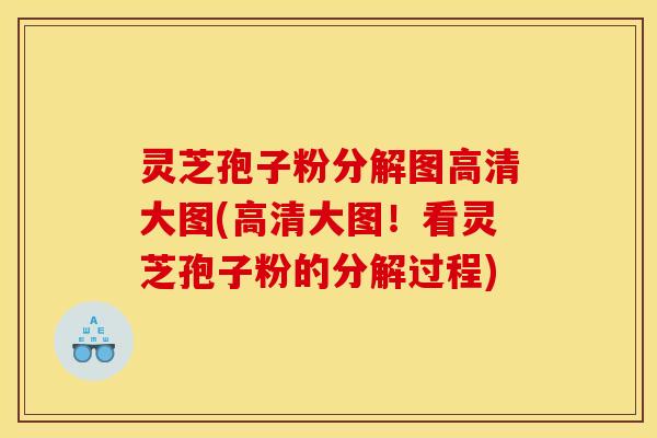 灵芝孢子粉分解图高清大图(高清大图!看灵芝孢子粉的分解过程) 灵芝孢子粉分解图高清大图(高清大图!看灵芝孢子粉的分解过程)