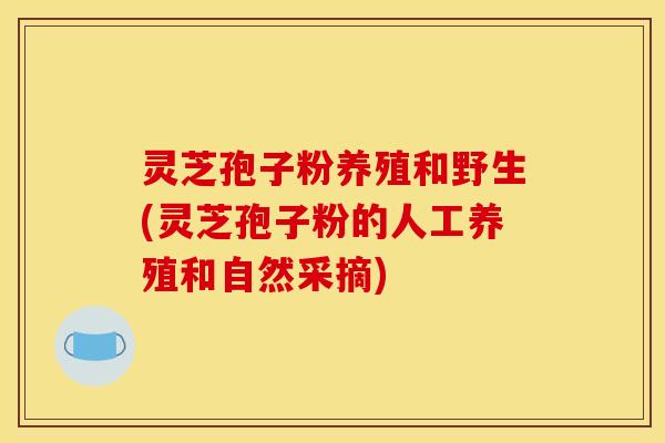 灵芝孢子粉养殖和野生(灵芝孢子粉的人工养殖和自然采摘)