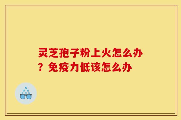 灵芝孢子粉上火怎么办?免疫力低该怎么办 灵芝孢子粉上火怎么办?免疫力低该怎么办
